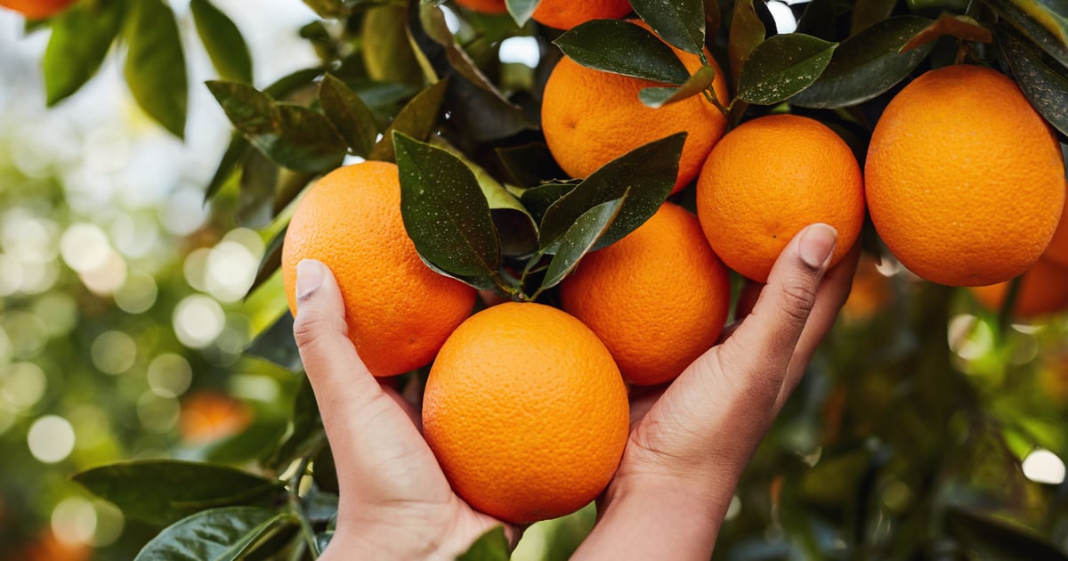 12 Foods That Can Help Naturally Boost Your Intake of Vitamin C