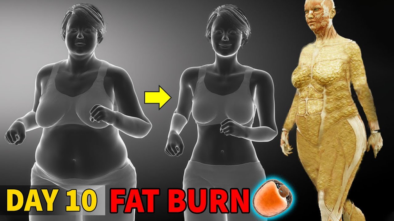 DAY 10 | CHALLENGE YOURSELF FOR EXTREME FAT BURN TODAY | 14 DAY FULL BODY TRANSFORMATION PROGRAM