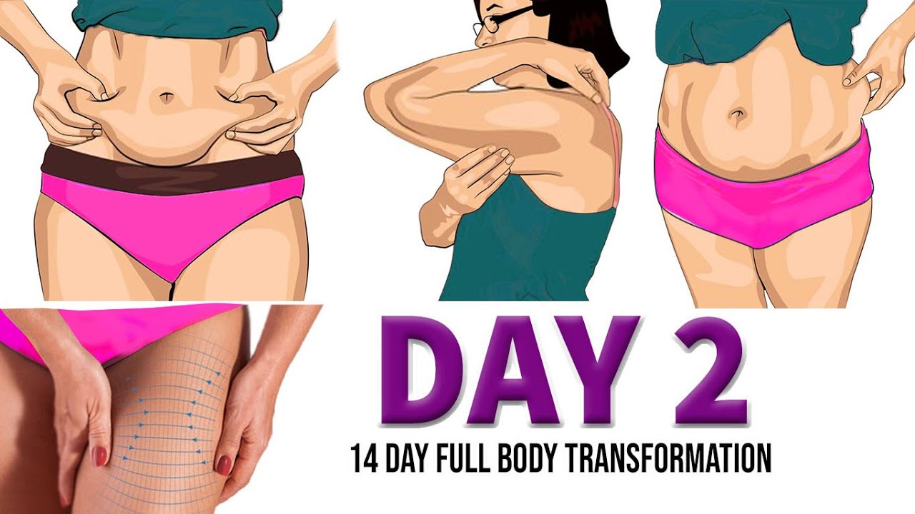 DAY 2 (FULL BODY EXERCISES) | 14 DAY FULL BODY TRANSFORMATION