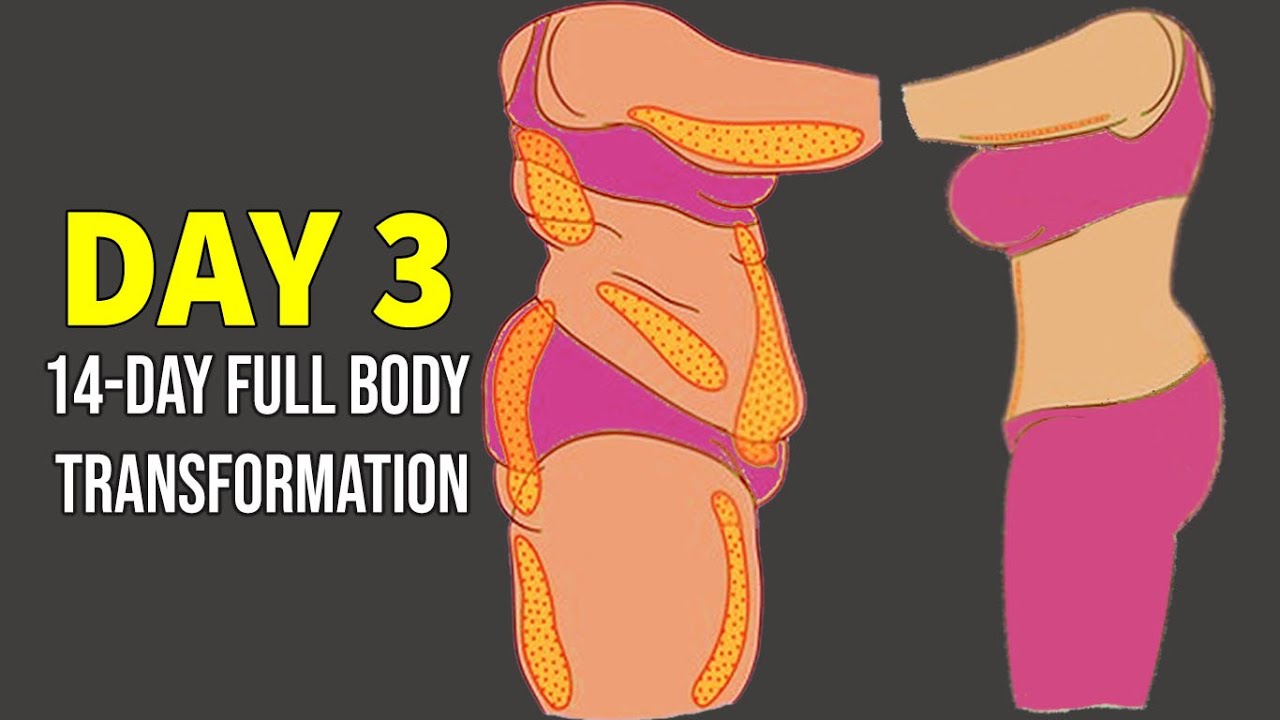 DAY 3 | (ARMS + BACK + BELLY ) | 14 DAY FULL BODY TRANSFORMATION PROGRAM